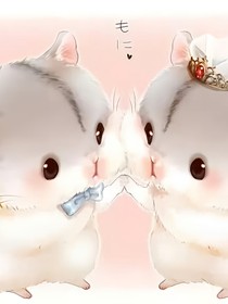 本小姐看上你了
