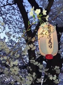 玉可摘星辰