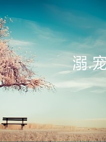 溺.宠
