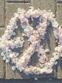 Tenderness.計(jì)劃_d059