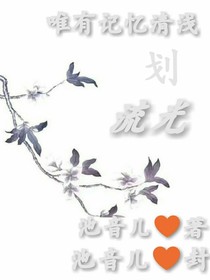 唯有记忆清浅划流光_d547