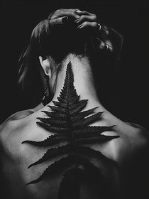 草木皆消