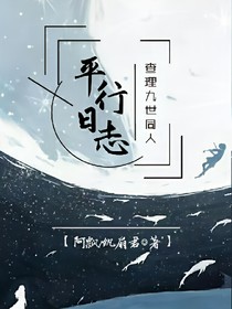 查理九世之平行日志