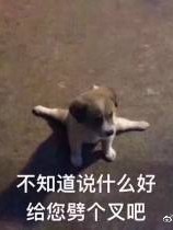 总裁放肆爱-d505