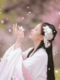 琴声彼岸，花开半季