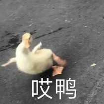 大哥別殺我鴨