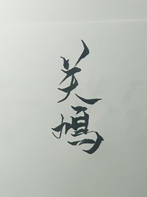 傾世毒妃很囂張