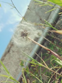 原以为我力所能及