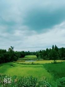 屋旁的那条小溪