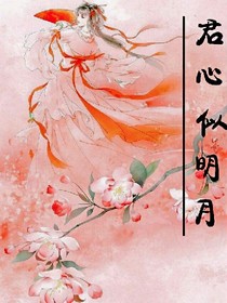 君心似明月