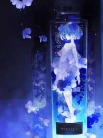 偶像學(xué)院之閃耀新星