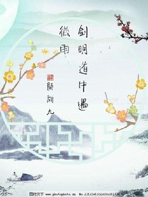 剑门道中遇微雨