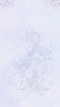樱缘落