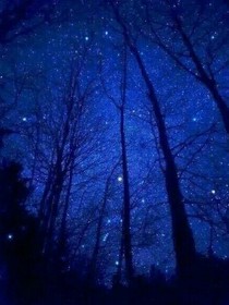 重生之一個夜晚