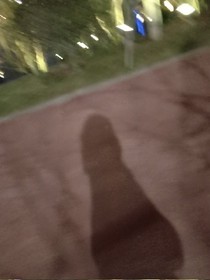 书名正在修改_1558960614919261626