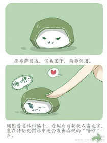 第五人格：现代穿越记