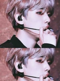 EXO：独身高贵