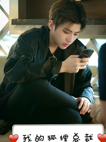 我的狐狸总裁