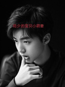 陸少的寶貝小萌妻