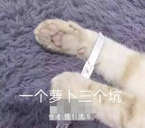 一个萝卜三个坑——三个小可爱的逗比日常