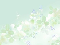 冷情地爱你