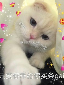 学校的那些事之八卦小学生