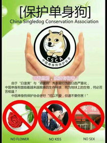 偶練，重生之手撕白蓮
