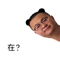 将军我错了