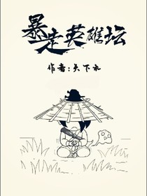 暴走英雄坛-不一样的江湖