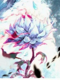 情是什么
