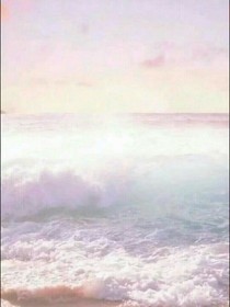 我与你的初遇