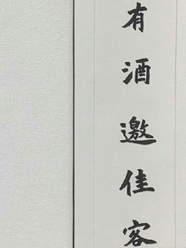 愿我能揽江摘月