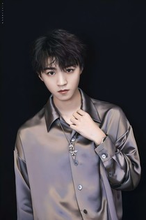 凯皇之野性小野猫