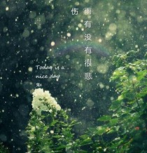 雨有没有很悲伤