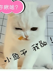 林墨等我
