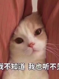 大纲天尊