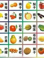 水果总动员