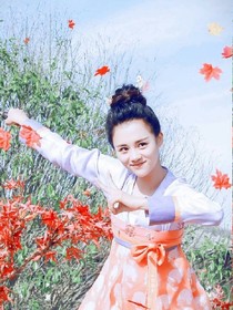 旋风少女之冠军归来