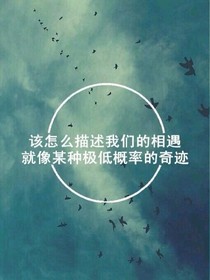 小包子追爱记