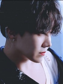 BTS.駺狗与唥月