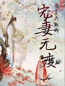 宠妻无度，临王太傲娇