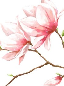 二傻你傻不傻