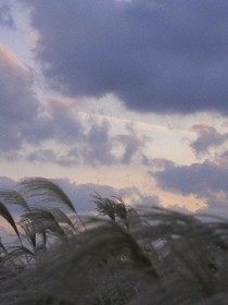 流年似水不负你