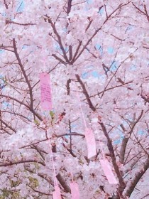 藍(lán)色夏之夜