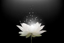 心中白蓮，此刻盛開（臨時）