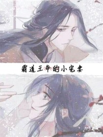 霸道王爷的小宠妻