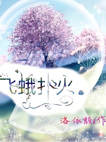 飞蛾扑火.