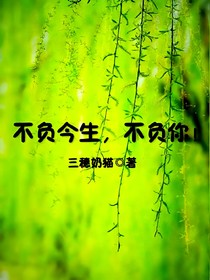 不負(fù)今生不負(fù)你-d146