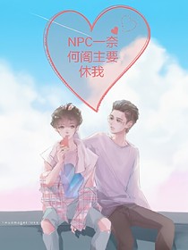 NPC一奈何阁主要休我