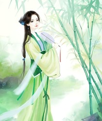 图谱全